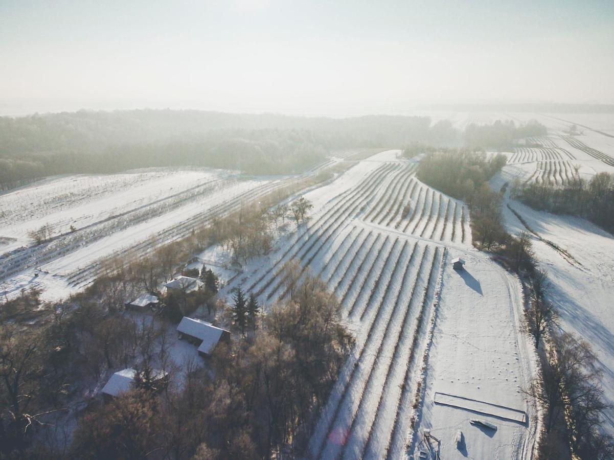 Chata Nad Wawozem Nałęczów Extérieur photo